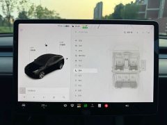 Tesla Model Y Standard Range RWD - ფოტო 18
