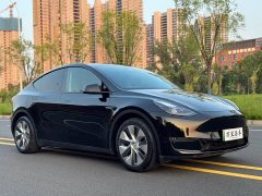 Tesla Model Y Standard Range RWD - ფოტო 3