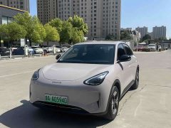 Geely Star Wish 310km Dream Edition - ფოტო 1