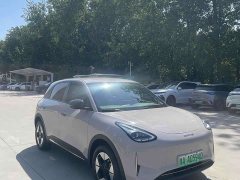 Geely Star Wish 310km Dream Edition - ფოტო 3