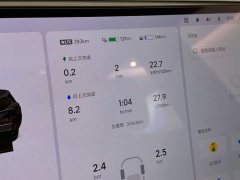 Li Auto L9 2022 Max - ფოტო 14