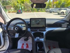 smart #1 Pro - ფოტო 11