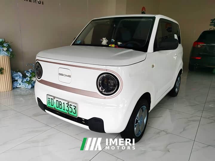 Geely Panda Mini 200km Endurance Edition - ავტომობილი ჩინეთიდან
