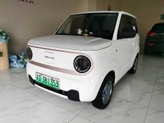 Geely Panda Mini 200km Endurance Edition - ფოტო 1