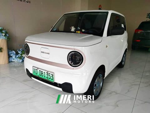 2023 Geely Panda Mini 200km Endurance Edition - ავტომობილი ჩინეთიდან