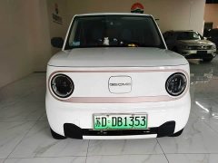 Geely Panda Mini 200km Endurance Edition - ფოტო 2