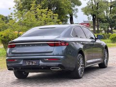 Geely Xingui Xingrui 2.0T Diesel Premium Edition - ფოტო 6