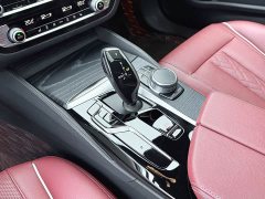 BMW 5 Series 530Li Premier M Sport Package - ფოტო 14