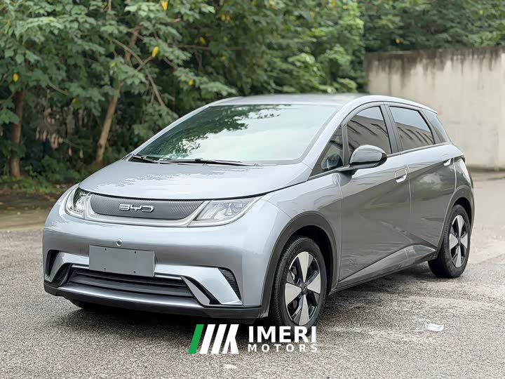 BYD Dolphin 420km Fashion Edition - ავტომობილი ჩინეთიდან