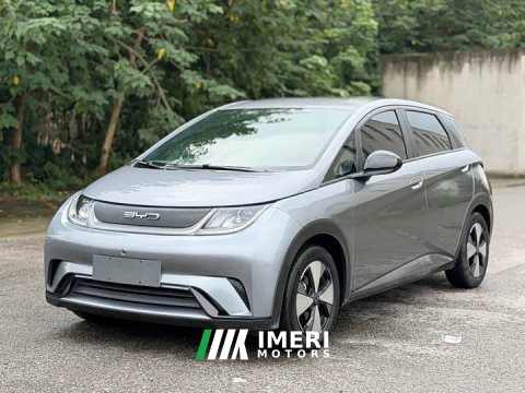 2023 BYD Dolphin 420km Fashion Edition - ავტომობილი ჩინეთიდან