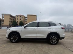 Haval H6 2022 Third Generation 1.5T Automatic Two-Wheel Drive Max - ფოტო 10