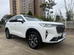 Haval H6 2022 Third Generation 1.5T Automatic Two-Wheel Drive Max - ფოტო 3