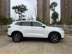 Haval H6 2022 Third Generation 1.5T Automatic Two-Wheel Drive Max - ფოტო 4