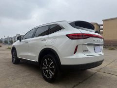 Haval H6 2022 Third Generation 1.5T Automatic Two-Wheel Drive Max - ფოტო 8