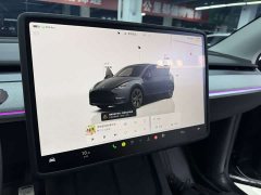 Tesla Model Y Rear-Wheel Drive - ფოტო 15