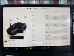 Tesla Model Y Rear-Wheel Drive - ფოტო 16