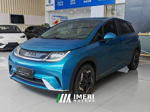 2022 BYD Dolphin 405km Freedom Edition - ავტომობილი ჩინეთიდან