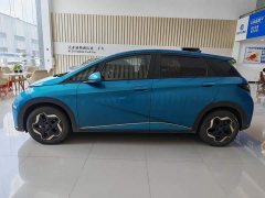 BYD Dolphin 405km Freedom Edition - ფოტო 4