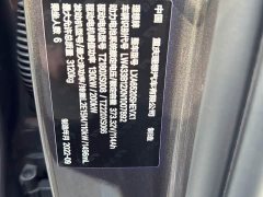 Li Auto L9 Max - photo 17