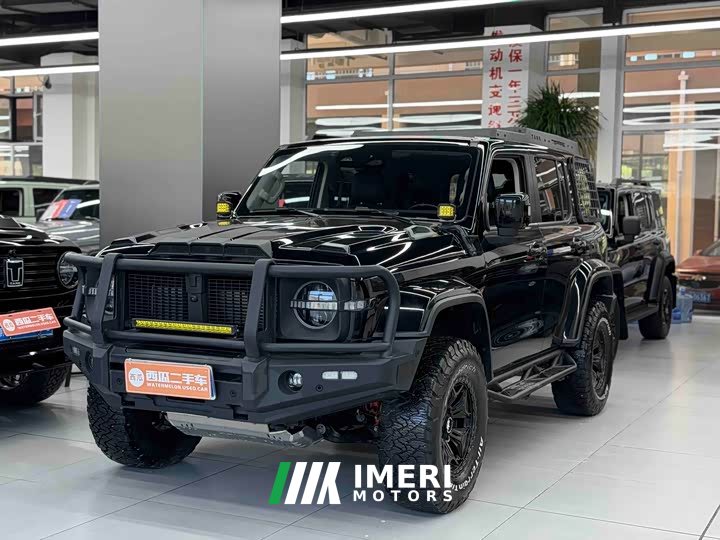 Tank 300 City Edition 2.0T Stylish - ავტომობილი ჩინეთიდან