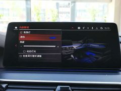 BMW 5 Series Facelift 530Li Premier M Sport Package - ფოტო 18