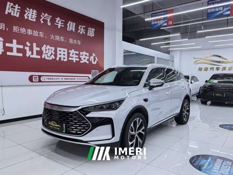2026 BYD Tang New Energy 2025 Smart Driving DM-i 115KM Premium Edition - ავტომობილი ჩინეთიდან