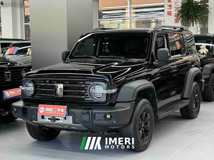 Tank 300 2021 Off-Road Edition 2.0T Conqueror - ავტომობილი ჩინეთიდან