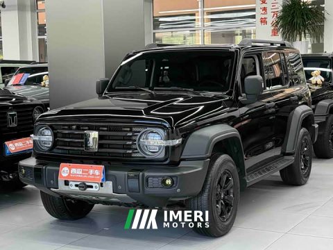 2022 Tank 300 2021 Off-Road Edition 2.0T Conqueror - ავტომობილი ჩინეთიდან