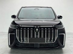 Voyah Dream 2024 PHEV Extended Range Luxury Edition - ფოტო 1