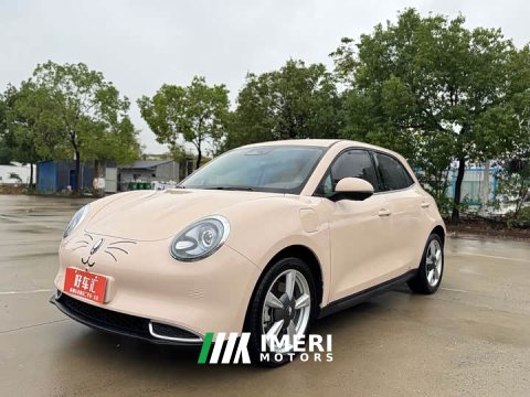 2023 ORA Good Cat 401km Standard Range Deluxe Edition LFP Battery - ავტომობილი ჩინეთიდან