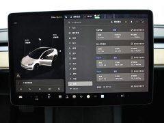 Tesla Model 3 Standard Range RWD Upgrade - ფოტო 13