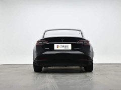 Tesla Model 3 Standard Range RWD Upgrade - ფოტო 4