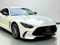 Mercedes-Benz AMG GT New Energy 2025 63 S E Performance - ფოტო 13