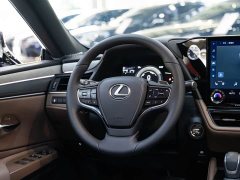 Lexus ES 300h Premium Edition - ფოტო 14