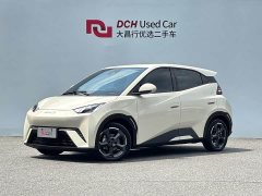 BYD Seagull Flying Edition - ფოტო 1