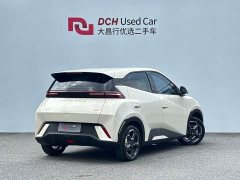 BYD Seagull Flying Edition - ფოტო 4