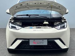 BYD Seagull Flying Edition - ფოტო 9