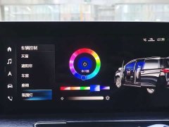 Buick GL8 Avenir Four-Seat Premium Edition - ფოტო 14