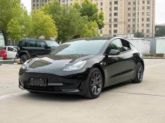Tesla Model 3 Standard Range RWD Upgrade - ფოტო 1