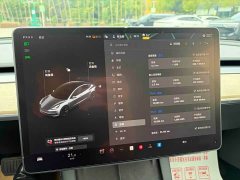 Tesla Model 3 Standard Range RWD Upgrade - ფოტო 15