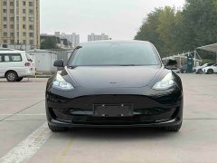 Tesla Model 3 Standard Range RWD Upgrade - ფოტო 2
