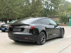 Tesla Model 3 Standard Range RWD Upgrade - ფოტო 6