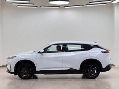Lincoln SKY EV01 530km PRO Elite Executive Edition - ფოტო 7