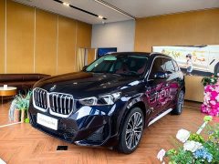 BMW X1 xDrive25Li M Sport Package - ფოტო 1