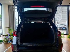 BMW X1 xDrive25Li M Sport Package - ფოტო 6
