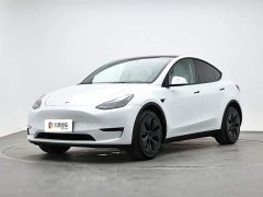 Tesla Model Y Long Range All-Wheel Drive - ფოტო 1