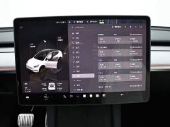 Tesla Model Y Long Range All-Wheel Drive - ფოტო 10