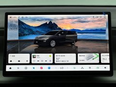 Leapmotor B01 650 Pleasure Edition - ფოტო 13