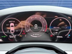Porsche 2024 Panamera 2.9T - ფოტო 15