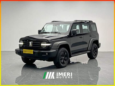 2022 Tank 300 2021 Off-Road Edition 2.0T Conqueror - ავტომობილი ჩინეთიდან